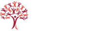 Academi